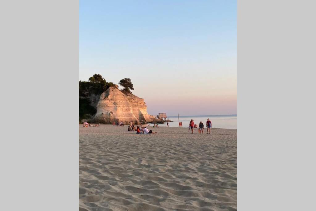 Maison Au Coeur De Meschers - Proche Des Plages 外观 照片